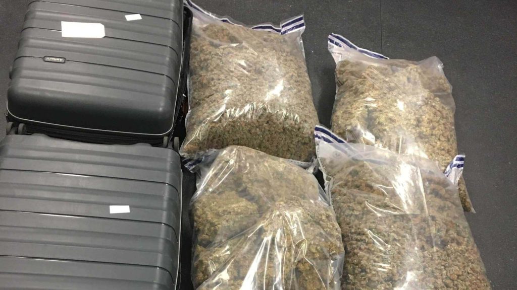 Man allegedly tries to sneak 50kg of cannabis onto commercial flight