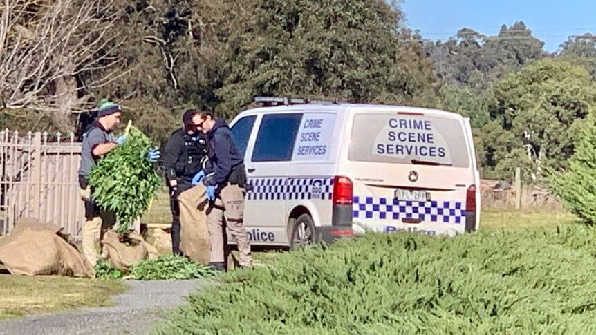 Police bust ‘sophisticated’ hydro cannabis set-up