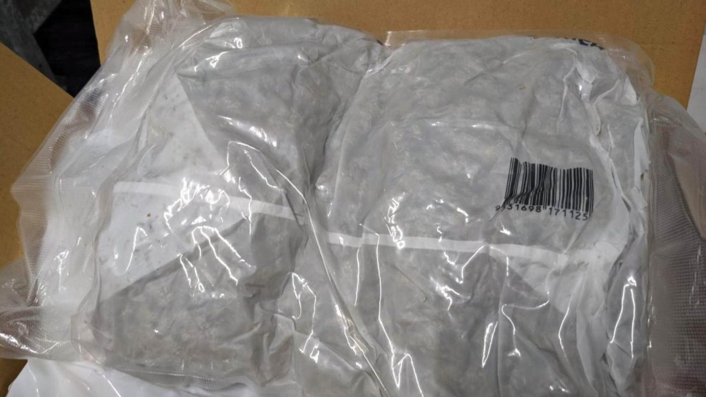 Cannabis in a nappy box among drugs seized in Palm Island bust during lockdown