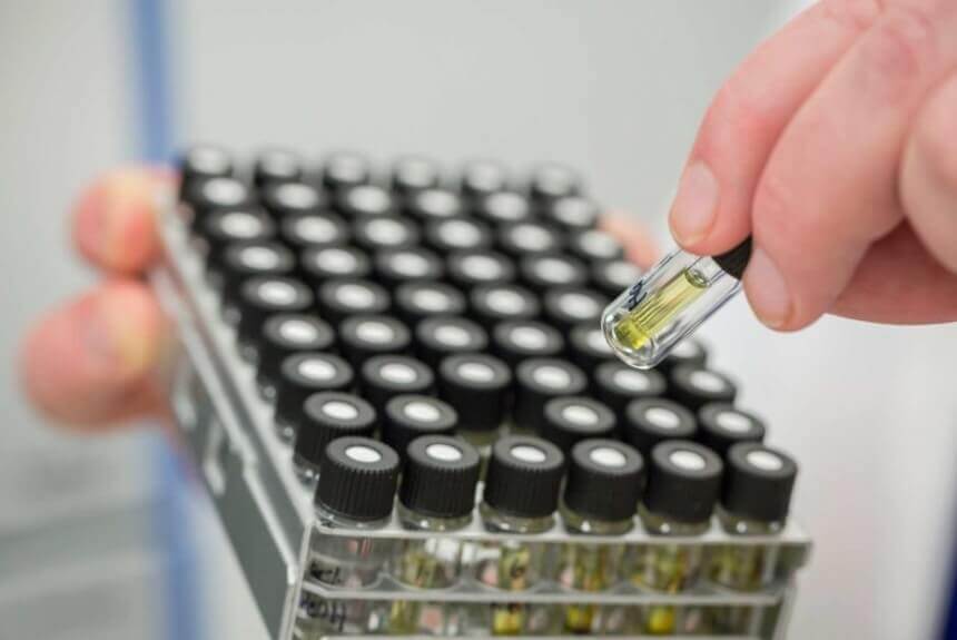 More than 60 per cent of GPs asked about prescribing medicinal cannabis