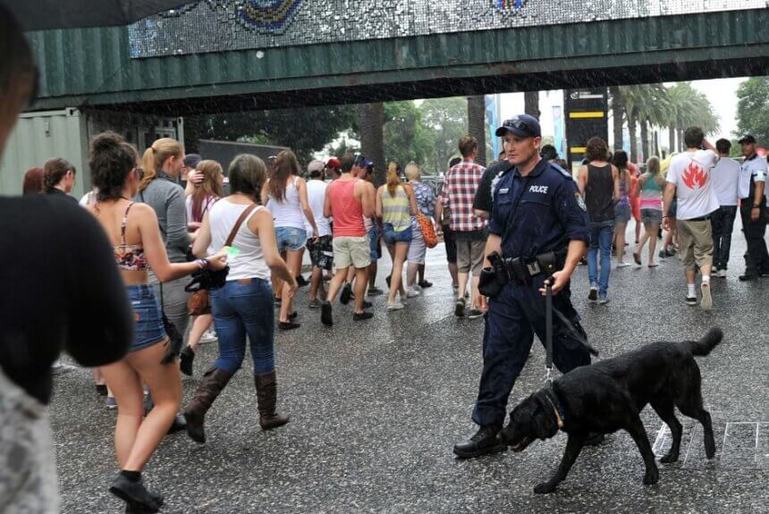 Controversial drug dog plan gets green light