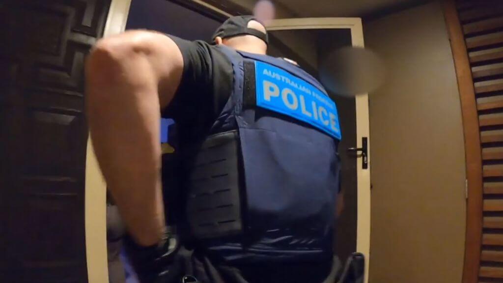 Hundreds arrested in organised crime sting